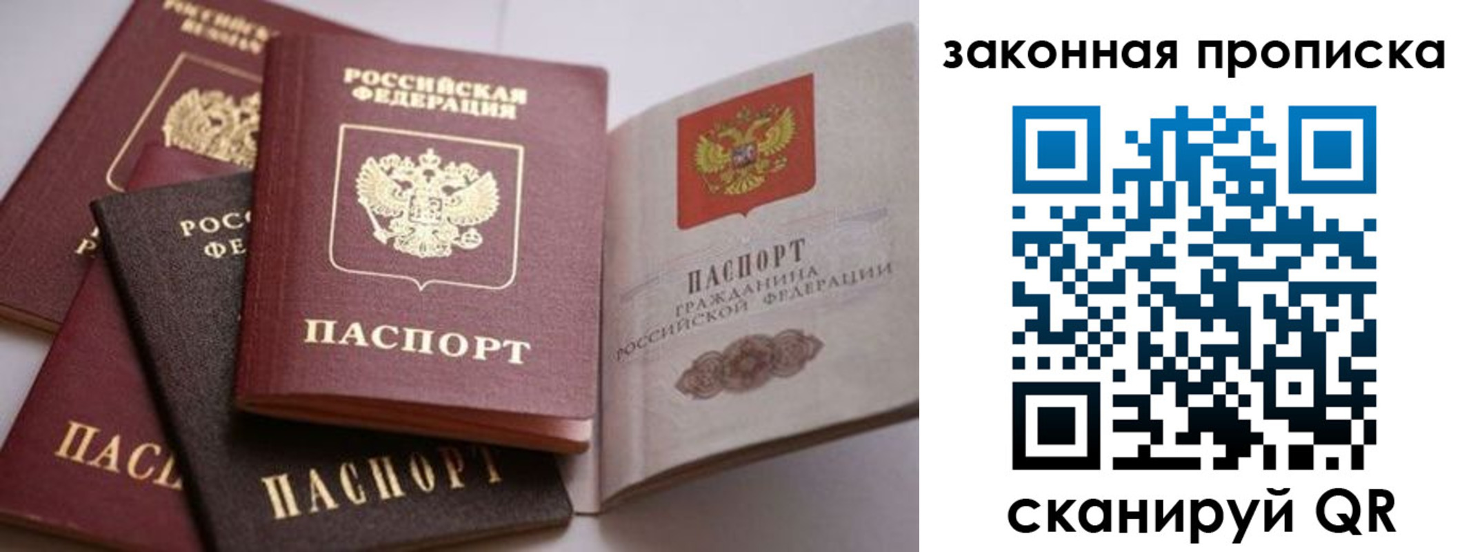 временная регистрация надежно в Амурской области